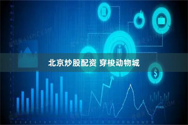 北京炒股配资 穿梭动物城